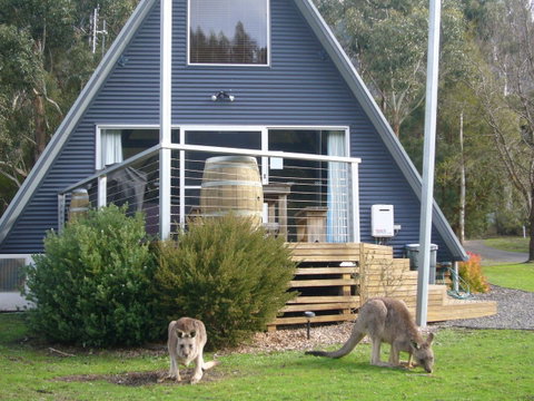 The A-Frame - Tourism Guide 10