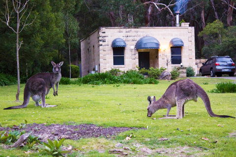 Marwood Villas - Travel Agents 31
