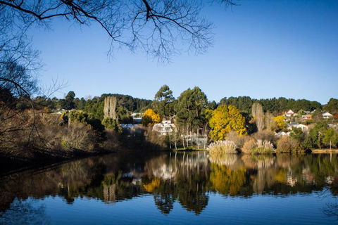 Chestnut Daylesford - Travel Agents 14