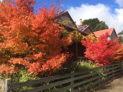 Chestnut Daylesford - Travel Agents 13