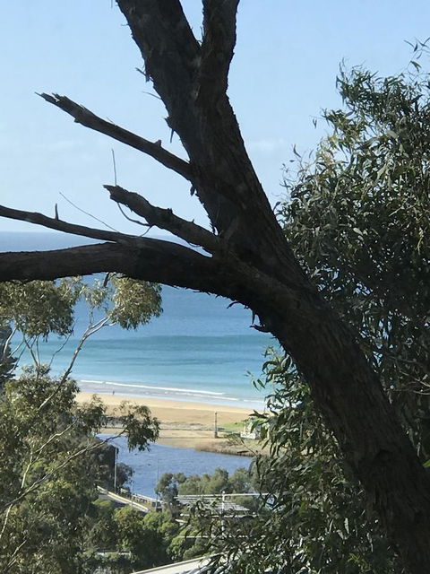 Lorne Sea View Terrace House - Travel Agents 12