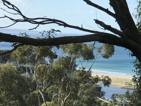 Lorne Sea View Terrace House - Travel Agents 10