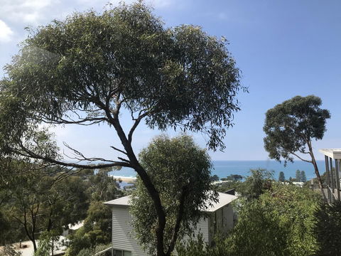 Lorne Sea View Terrace House - Travel Agents 26