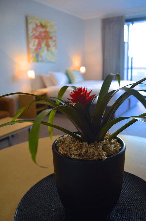 Mansfield Apartments - Tourism Guide 21