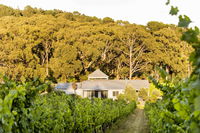 Book Red Hill Accommodation Vacations Travel Agents Travel Agents