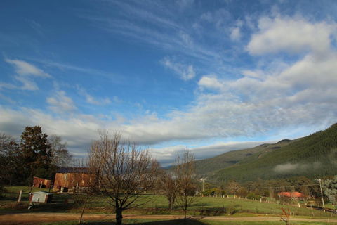 3 Bells Alpine Cottage - Travel Agents 26