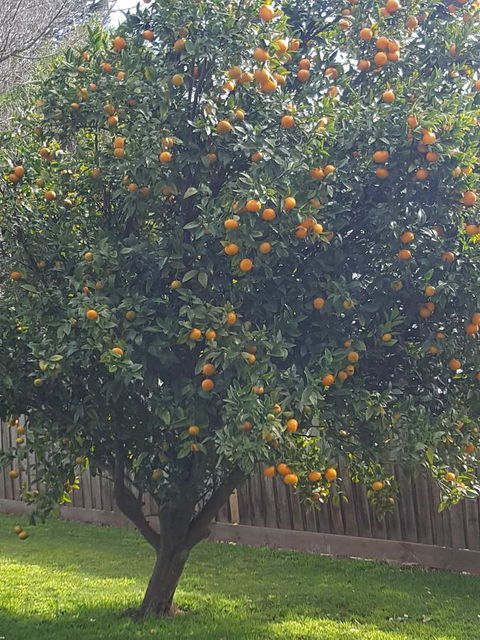 Juliet House - Tourism Guide 21