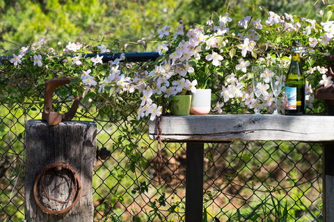 Cottage 4A - Travel Search 4