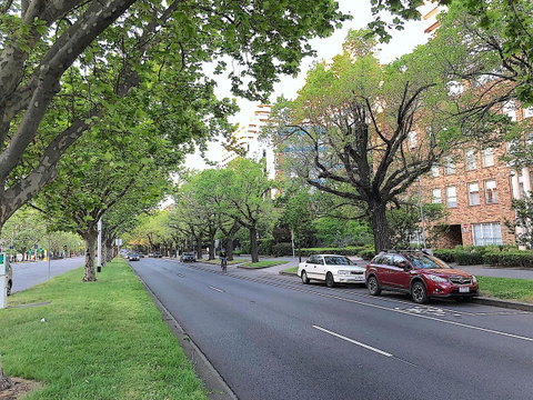 Fawkner Apartment Bay-view 5 - Tourism Guide 16