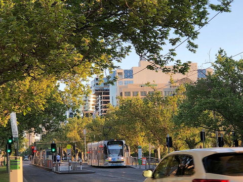 Fawkner Apartment Bay-view 5 - Tourism Guide 15