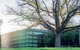 Quest Flemington - thumb 16