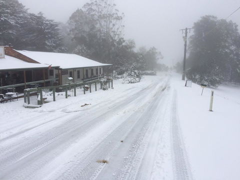 Tarra Bulga Guesthouse - Travel Agents 8