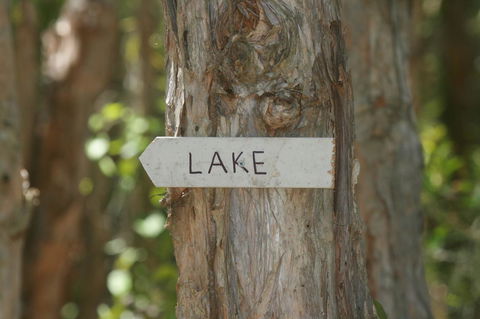 Lake Weyba Noosa Lodge & Kangaroos - Travel Search 36