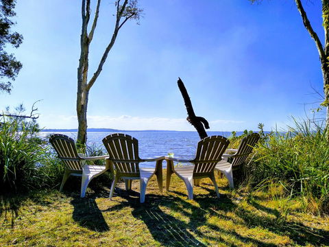 Lake Weyba Noosa Lodge & Kangaroos - Travel Search 44