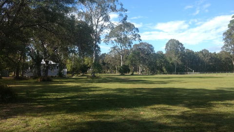 Lake Weyba Noosa Lodge & Kangaroos - Travel Search 23