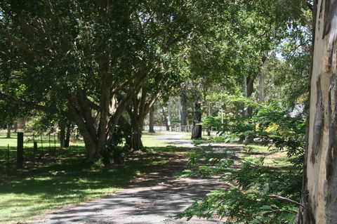 Lake Weyba Noosa Lodge & Kangaroos - Travel Search 34