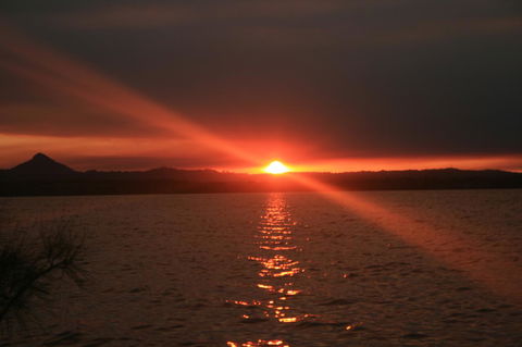 Lake Weyba Noosa Lodge & Kangaroos - Travel Search 41