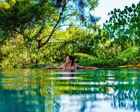 Rainbow Ocean Palms Resort - Travel Search 5