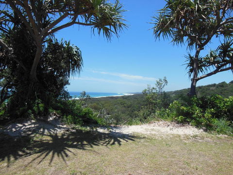 Whale Watch Ocean Beach Resort - Travel Search 3