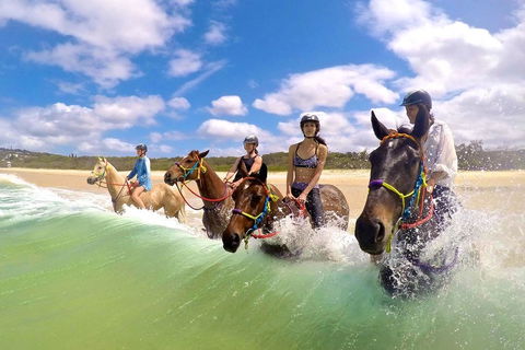 Salty Vibes Retreat - Travel Search 6