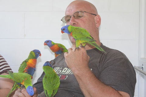 Amaroo On Mandalay, Magnetic Island - Tourism Guide 33
