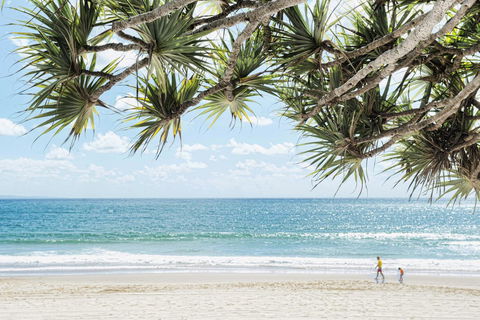 Netanya Noosa Beachfront Resort - Travel Search 38