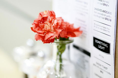 Madison Plaza Townsville - Travel Agents 20