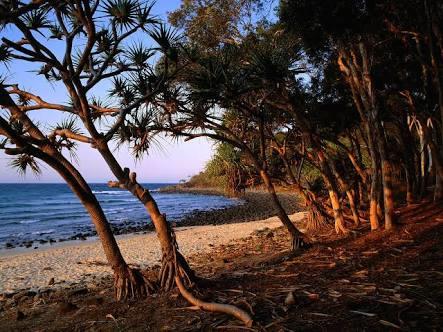 Bayona 1 Little Cove - Tourism Guide 21