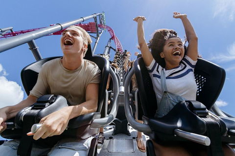 Sea World Resort - Travel Search 16