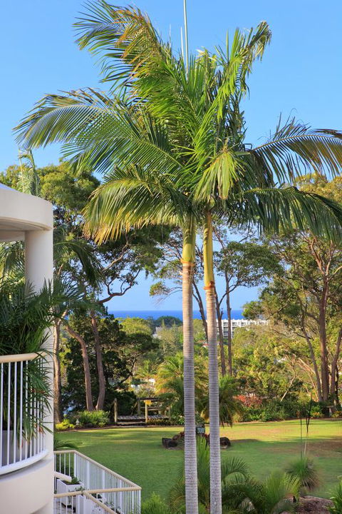Serenity Apartments Noosa - Travel Search 14