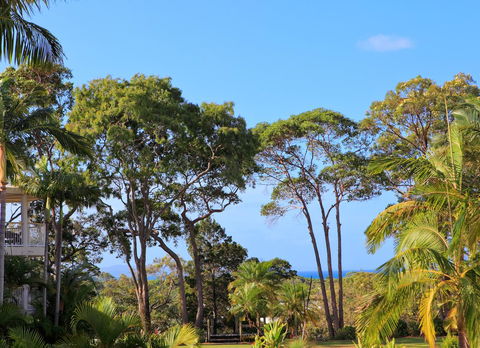 Serenity Apartments Noosa - Travel Search 26