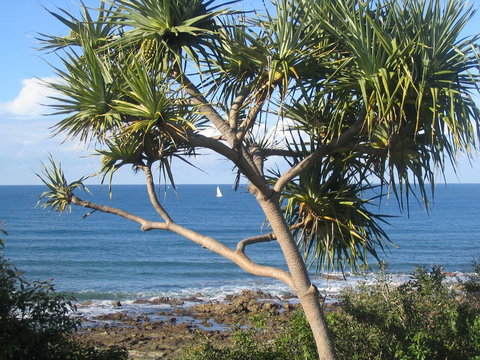 Headland Tropicana Resort - Travel Agents 39