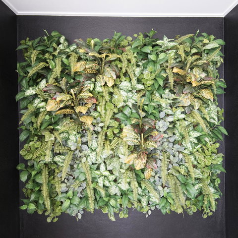 Riviera Mackay - Tourism Guide 22