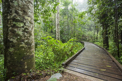 Riviera Mackay - Tourism Guide 25