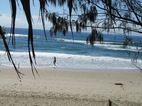 Le Beach Apartments - Tourism Guide 16