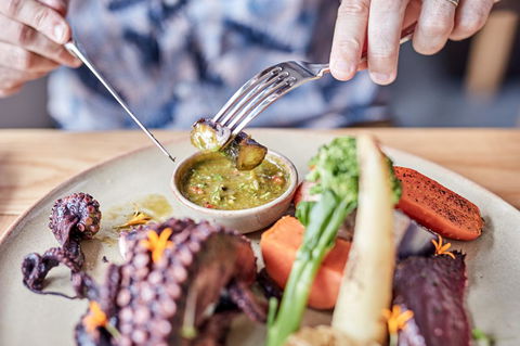 Novotel Cairns Oasis Resort - Tourism Guide 14