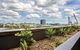 Evolution Apartments - thumb 8