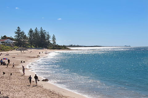 The Norfolks On Moffat Beach - Cruises Travel 0