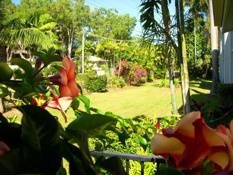 Clifton Sands Holiday Units - Travel Search 38