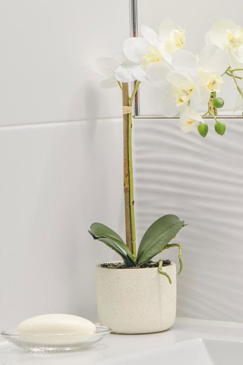 The Guesthouse Maleny - Travel Search 32