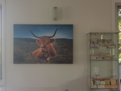 Highland House - Tourism Guide 4
