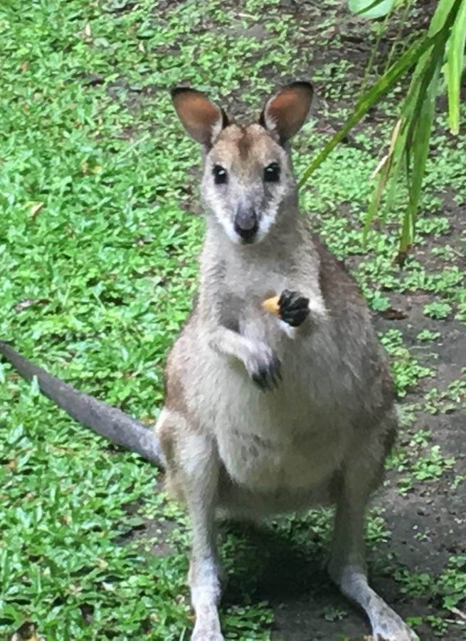 Trinity Park QLD Tourism Guide