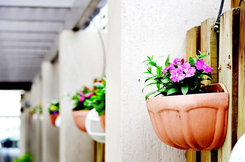 Spring Hill Mews Apartments - Cruises Travel 12