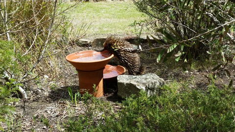 Wind Song Bed & Breakfast - Travel Search 3
