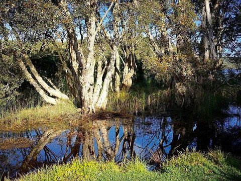 Wisteria Cottage On The Lagoon/Beach - Cruises Travel 2