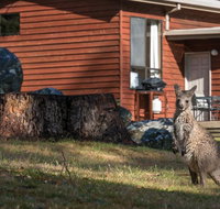 Wonderland Cottages - Tourism Guide