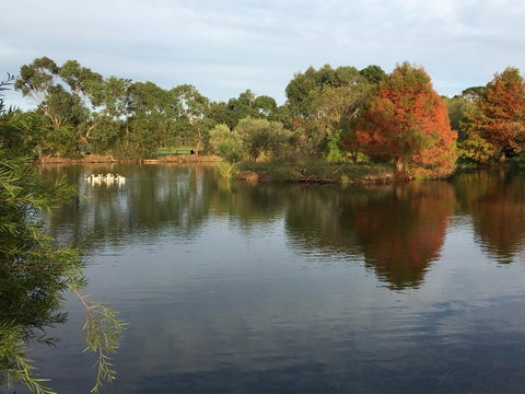 Wonderland Hobby Farm - Travel Agents 2