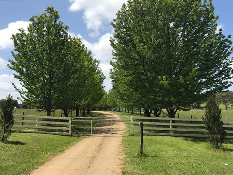 Wonderland Hobby Farm - Travel Agents 1