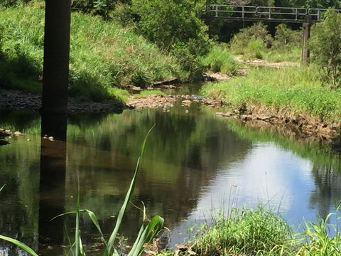 Yandina Caravan Park - Travel Search 2