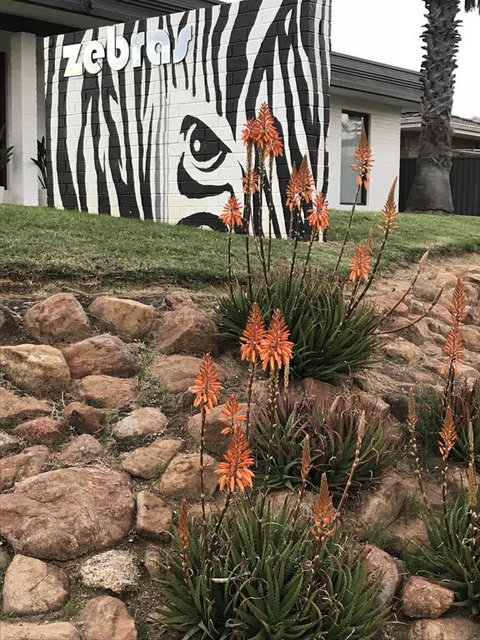 Zebras Guest House Geraldton - Tourism Guide 1